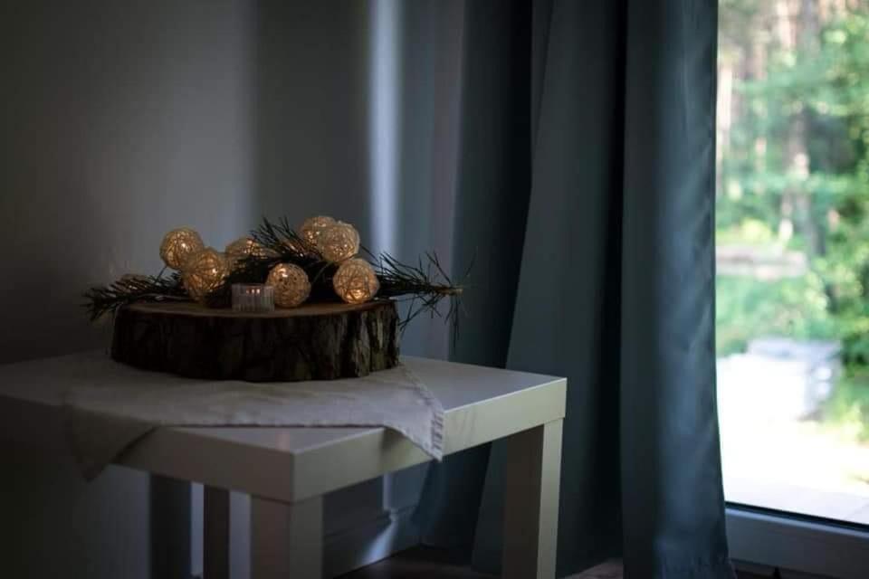 Lesne Zacisze Sochy Farm stay Zwierzyniec